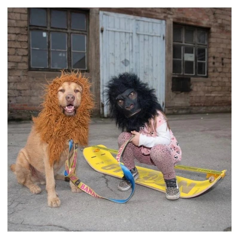 KIT SLACKLINE BOARD GIBBON GIBOARD - BONZO CLASSIQUE 5 KIT SLACKLINE BOARD GIBBON GIBOARD - BONZO CLASSIQUE – Image 3