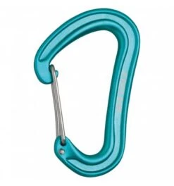 Mousqueton EDELRID Nineteen G (oasis) -Équipement Extérieur Boutique mousqueton edelrid nineteen g icemint